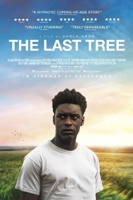 Смотреть Последнее дерево онлайн в HD качестве 720p