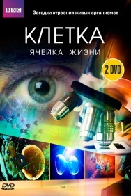 Смотреть BBC: Клетка онлайн в HD качестве 720p