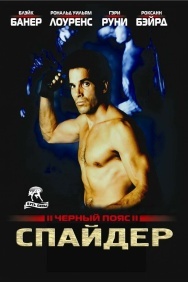 Смотреть Черный пояс 2: Спайдер онлайн в HD качестве 720p