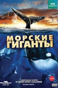 Смотреть BBC: Морские гиганты онлайн в HD качестве 720p