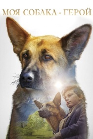 Смотреть Моя собака - герой онлайн в HD качестве 720p