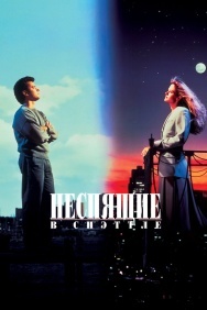 Смотреть Неспящие в Сиэттле онлайн в HD качестве 720p