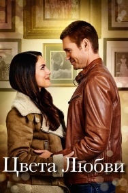 Смотреть Цвета любви онлайн в HD качестве 720p