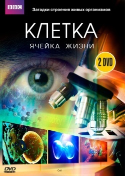 Смотреть BBC: Клетка онлайн в HD качестве 720p