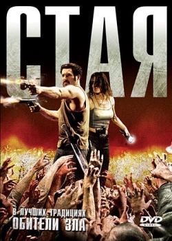 Смотреть Стая онлайн в HD качестве 720p