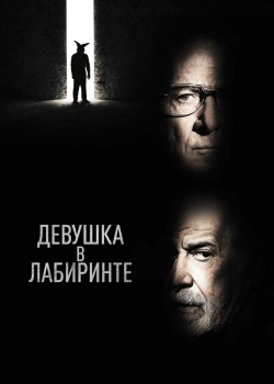 Смотреть Девушка в лабиринте онлайн в HD качестве 720p