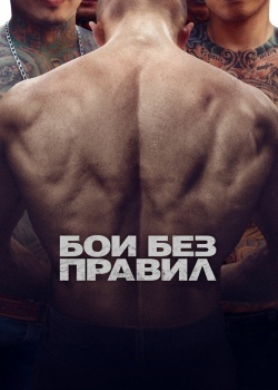 Смотреть Бои без правил онлайн в HD качестве 720p