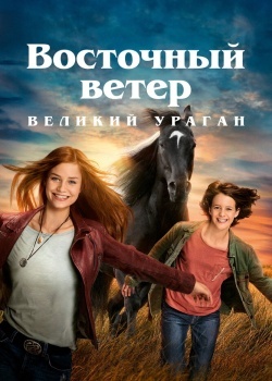 Смотреть Восточный ветер. Великий ураган онлайн в HD качестве 720p