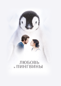 Смотреть Любовь и пингвины онлайн в HD качестве 720p