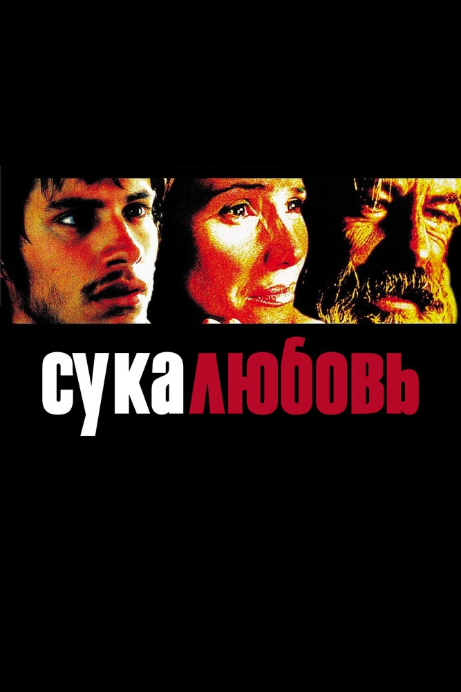 Смотреть Сука-любовь онлайн в HD качестве 